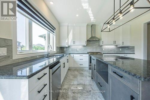 53 Hazelwood Pass, Thames Centre (Dorchester), ON - Indoor Photo Showing Kitchen With Upgraded Kitchen