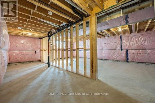 53 Hazelwood Pass, Thames Centre (Dorchester), ON - Indoor Photo Showing Basement