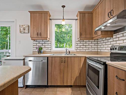 Kitchen - 35 Rue Du Plateau, Mont-Blanc, QC - Indoor Photo Showing Kitchen With Double Sink