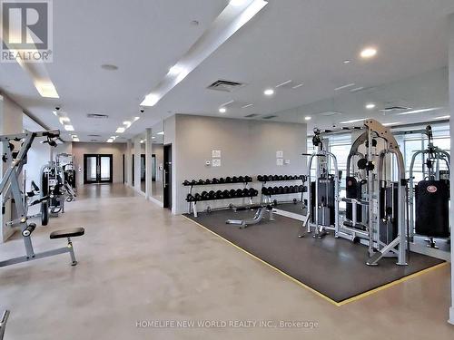 507 - 2015 Sheppard Avenue E, Toronto (Henry Farm), ON - Indoor Photo Showing Gym Room