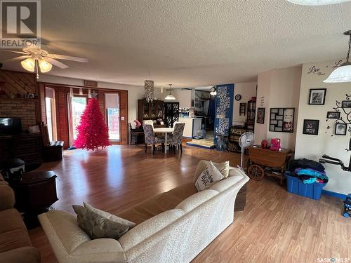 301 Virginia Avenue, Imperial, SK - Indoor Photo Showing Living Room