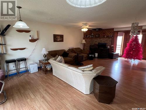 301 Virginia Avenue, Imperial, SK - Indoor Photo Showing Living Room