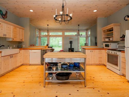 0 Queen Bee Island, District Of Kenora, ON - Indoor Photo Showing Kitchen