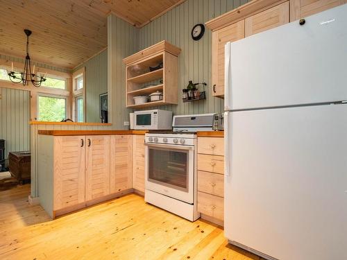 0 Queen Bee Island, District Of Kenora, ON - Indoor Photo Showing Kitchen