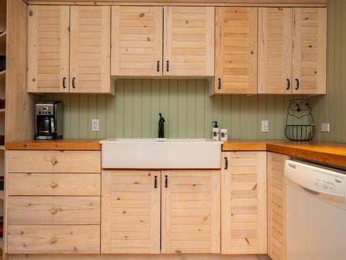 0 Queen Bee Island, District Of Kenora, ON - Indoor Photo Showing Kitchen