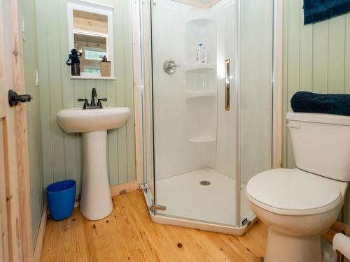 0 Queen Bee Island, District Of Kenora, ON - Indoor Photo Showing Bathroom