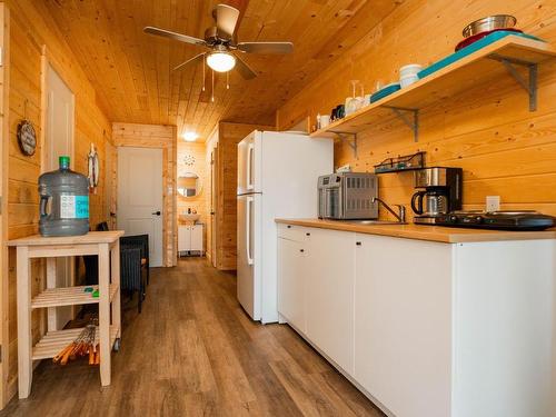 0 Queen Bee Island, District Of Kenora, ON - Indoor Photo Showing Kitchen