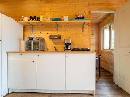 0 Queen Bee Island, District Of Kenora, ON - Indoor Photo Showing Kitchen