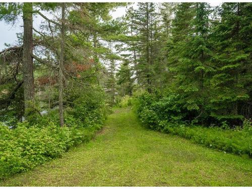 0 Queen Bee Island, District Of Kenora, ON - Outdoor