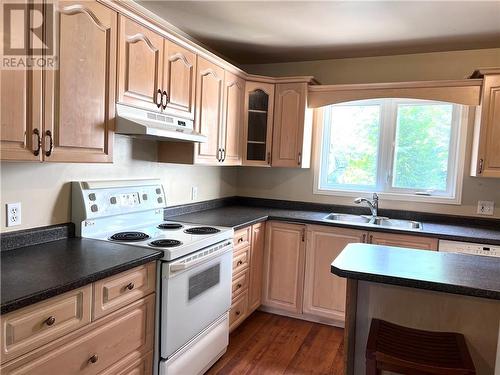 171 Nepahwin Avenue, Sudbury, ON - Indoor Photo Showing Kitchen With Double Sink