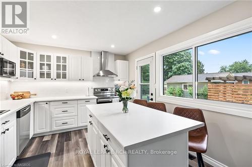 227 12Th Avenue, Hanover, ON - Indoor Photo Showing Kitchen With Upgraded Kitchen