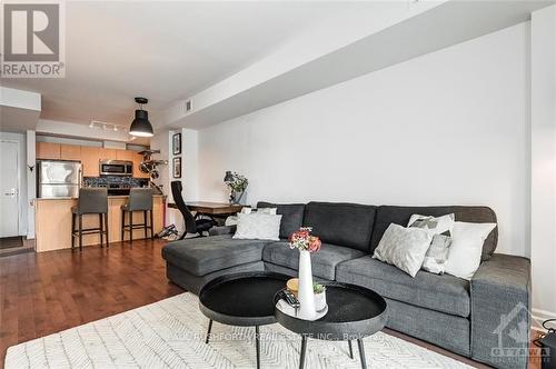 203 - 90 Landry Street, Ottawa, ON - Indoor Photo Showing Living Room