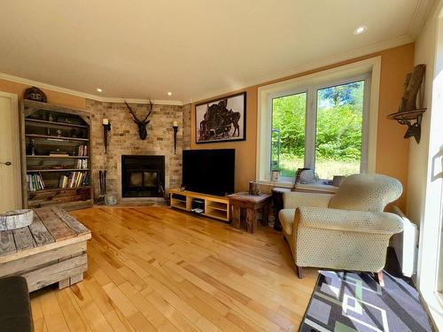 Salon - 1204 Ch. Du Progrès, Chute-Saint-Philippe, QC - Indoor Photo Showing Living Room With Fireplace