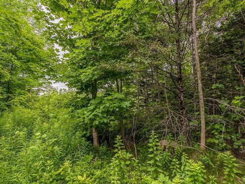 Lot Bishop Mountain Road, East Margaretsville, NS 