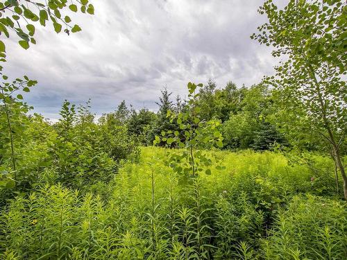 Lot Bishop Mountain Road, East Margaretsville, NS 