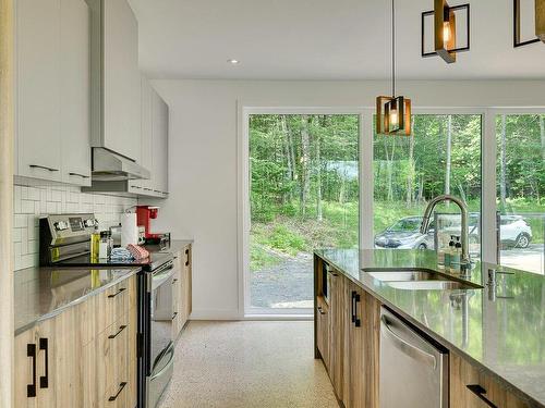 Cuisine - 10 Rue Du Denali, La Conception, QC - Indoor Photo Showing Kitchen With Double Sink With Upgraded Kitchen