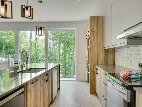 Cuisine - 10 Rue Du Denali, La Conception, QC - Indoor Photo Showing Kitchen With Double Sink With Upgraded Kitchen