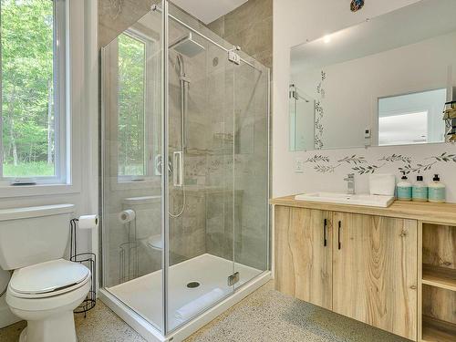 Ensuite bathroom - 10 Rue Du Denali, La Conception, QC - Indoor Photo Showing Bathroom