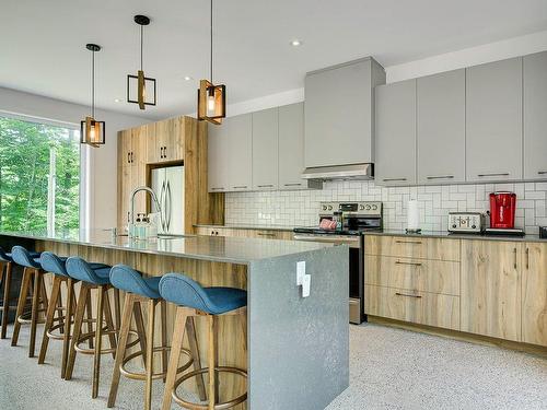 Kitchen - 10 Rue Du Denali, La Conception, QC - Indoor Photo Showing Kitchen With Upgraded Kitchen