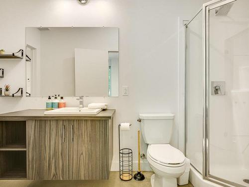 Bathroom - 10 Rue Du Denali, La Conception, QC - Indoor Photo Showing Bathroom