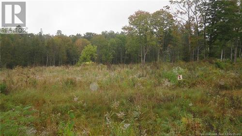 Lot 1 Pleasant Tree Way, Island View, NB 