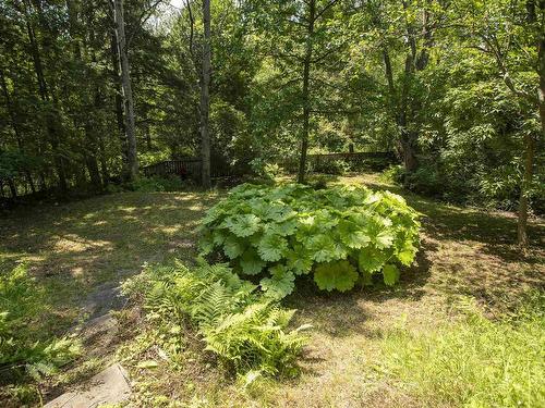 38 Farrand Street, Thunder Bay, ON - Outdoor