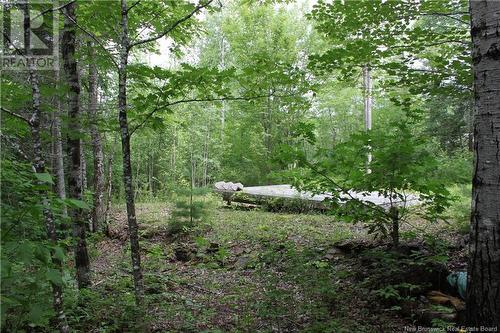 - Holland Lane, Cambridge-Narrows, NB 