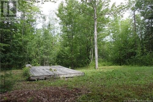 - Holland Lane, Cambridge-Narrows, NB 