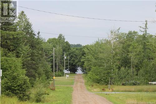 - Holland Lane, Cambridge-Narrows, NB 