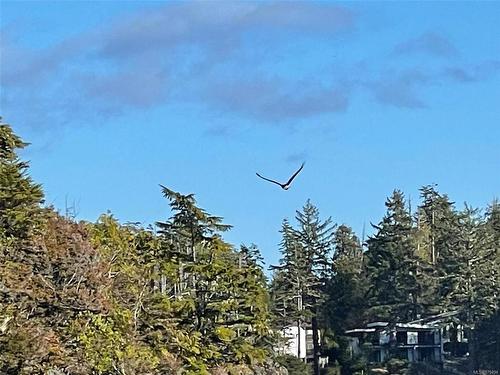 Lot 12 Marine Dr, Ucluelet, BC 