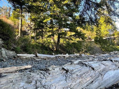 Lot 12 Marine Dr, Ucluelet, BC 