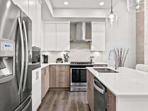 20-260 Rue Cheval Noir, Kamloops, BC - Indoor Photo Showing Kitchen With Stainless Steel Kitchen With Double Sink With Upgraded Kitchen