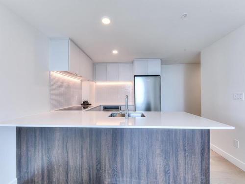 Cuisine - 4019-1210 Rue Jeanne-Mance, Montréal (Ville-Marie), QC - Indoor Photo Showing Kitchen With Double Sink