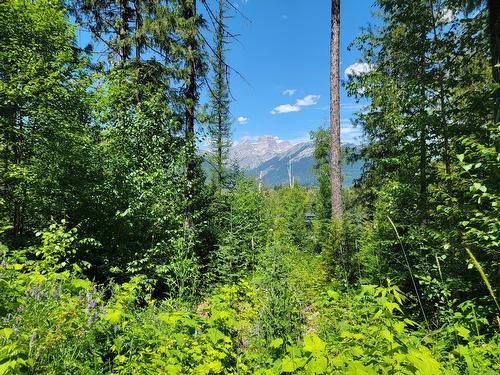 Proposed - Lot 92 Montane Parkway, Fernie, BC 