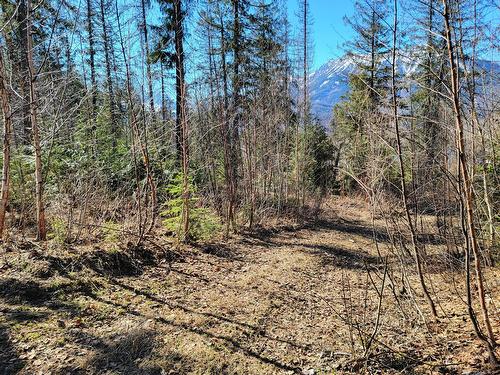 Proposed - Lot 92 Montane Parkway, Fernie, BC 