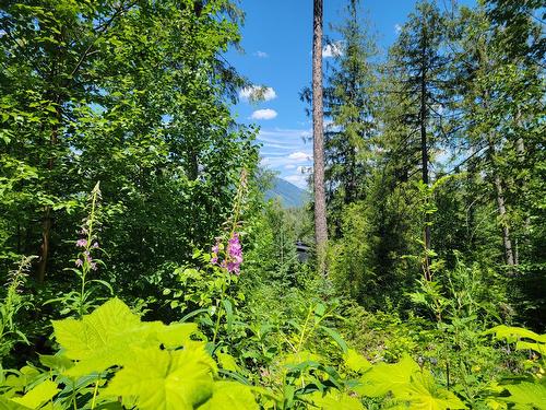 Proposed - Lot 92 Montane Parkway, Fernie, BC 