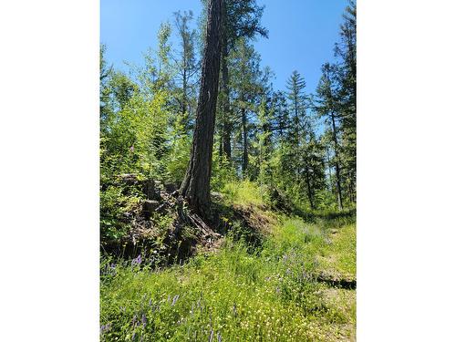 Proposed - Lot 92 Montane Parkway, Fernie, BC 