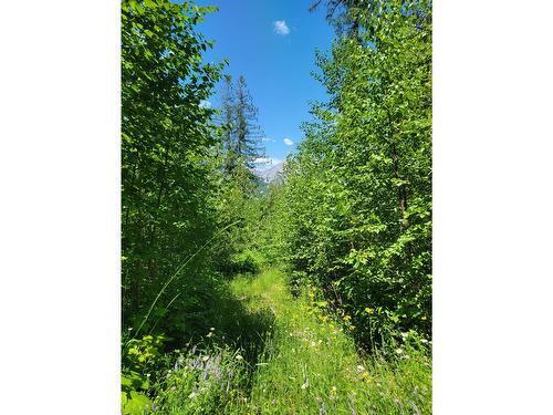 Proposed - Lot 92 Montane Parkway, Fernie, BC 