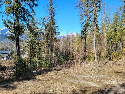 Proposed - Lot 92 Montane Parkway, Fernie, BC 