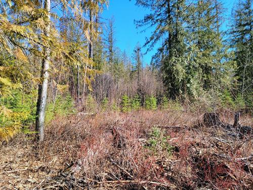 Proposed - Lot 92 Montane Parkway, Fernie, BC 