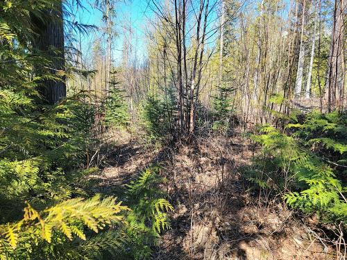 Proposed - Lot 92 Montane Parkway, Fernie, BC 