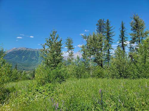 Proposed - Lot 90 Montane Parkway, Fernie, BC 