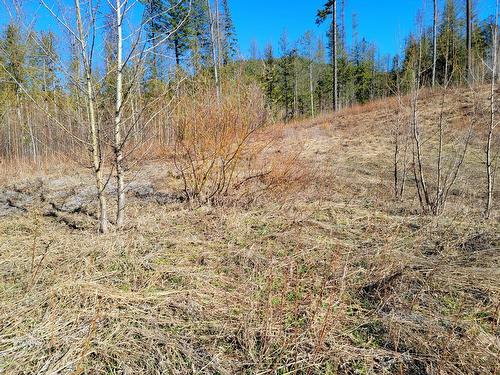 Proposed - Lot 90 Montane Parkway, Fernie, BC 