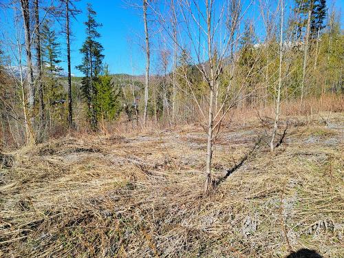 Proposed - Lot 90 Montane Parkway, Fernie, BC 