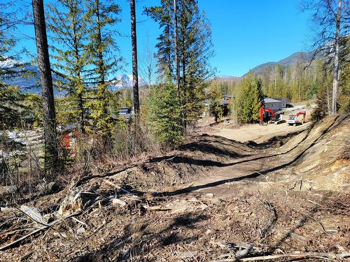 Proposed - Lot 90 Montane Parkway, Fernie, BC 