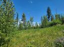 Proposed - Lot 90 Montane Parkway, Fernie, BC 