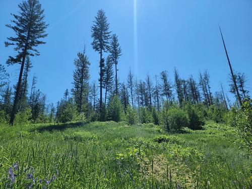 Proposed - Lot 90 Montane Parkway, Fernie, BC 