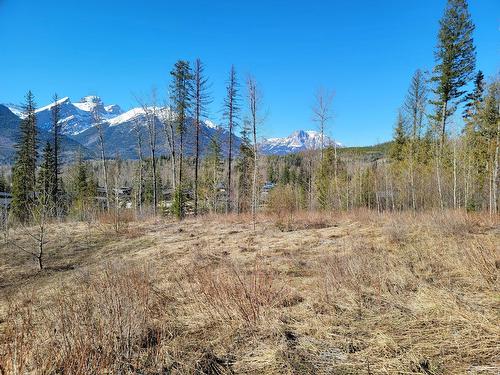 Proposed - Lot 90 Montane Parkway, Fernie, BC 