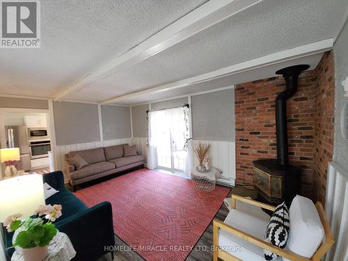 6234 Yonge Street, Innisfil (Churchill), ON - Indoor Photo Showing Living Room With Fireplace