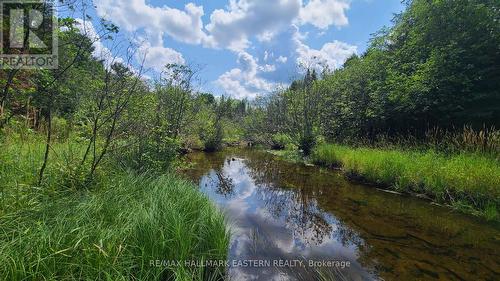 N/A Keating Road N, Havelock-Belmont-Methuen, ON 